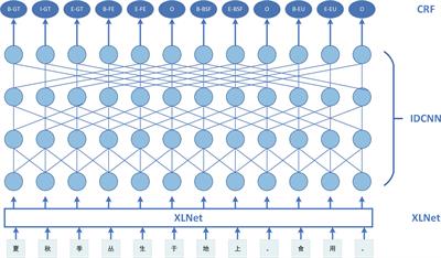 Improved XLNet modeling for Chinese named entity recognition of edible fungus